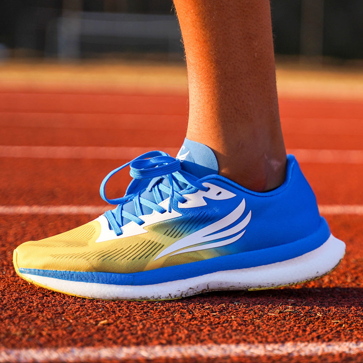 EQUUS Men's Running Shoe, Blue